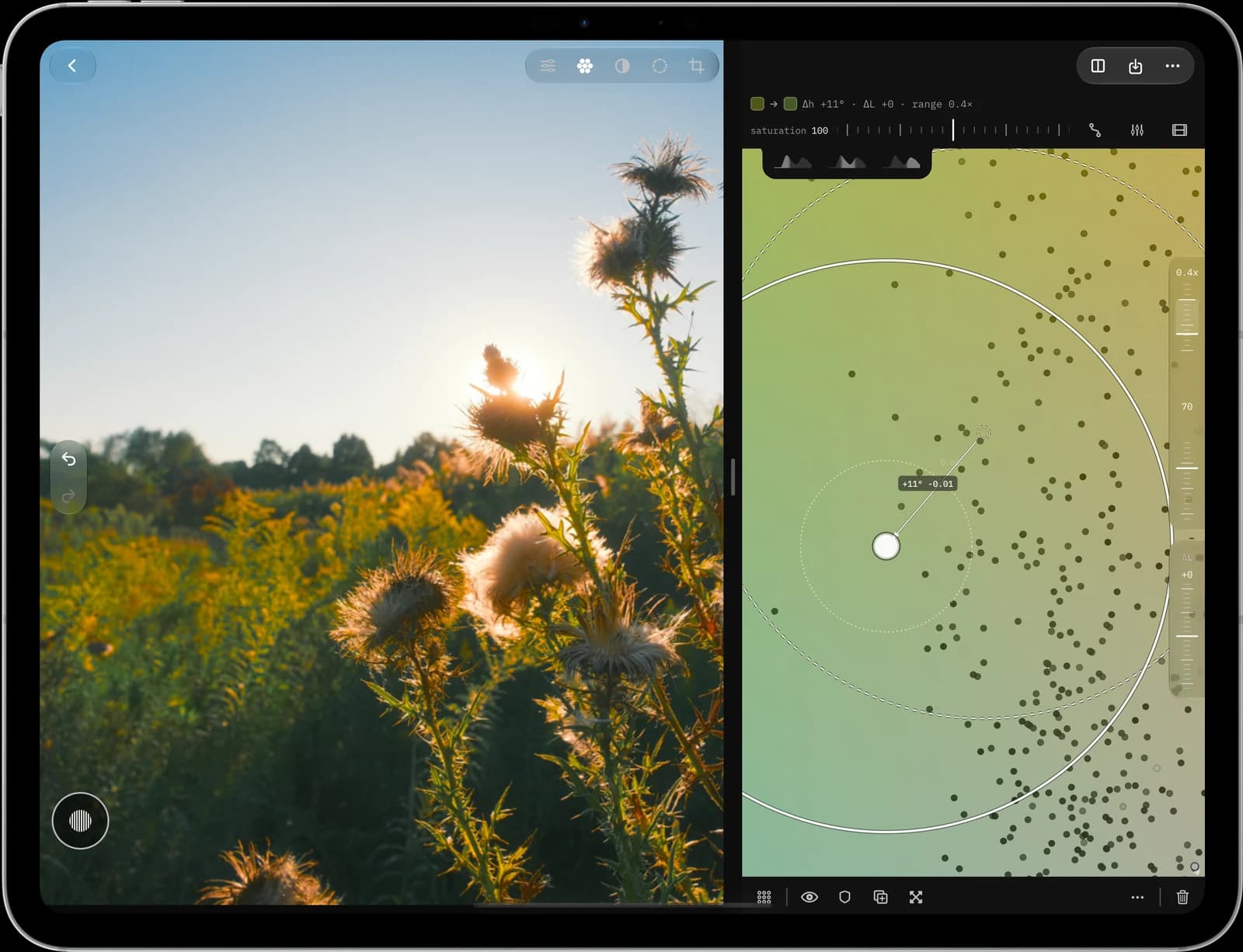 Tone Caliper on iPad: a backlit thistle in a meadow beside the color wheel, where a pin shifts the greens.