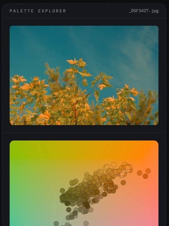 A photo of orange leaves against a teal sky, above a color plane scattered with the photo's colors as translucent discs.