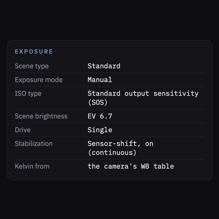 The exposure card: scene type, exposure mode, ISO type, scene brightness, drive and stabilization.