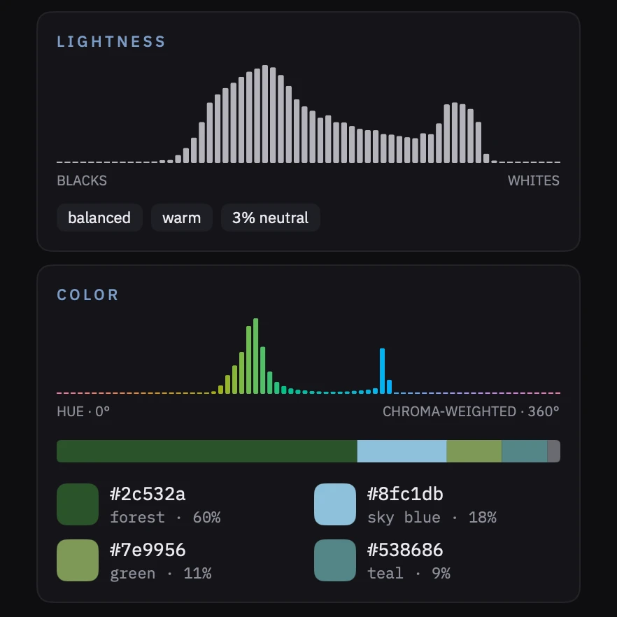 The lightness histogram with its balanced, warm and neutral readings, and the chroma-weighted hue histogram with the photo’s main colors.