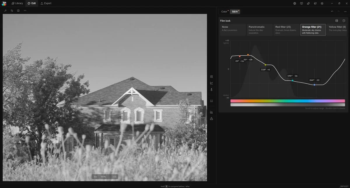 The black and white tab in Tone Caliper: film look cards and a hue-to-tone curve deciding how each color becomes a gray