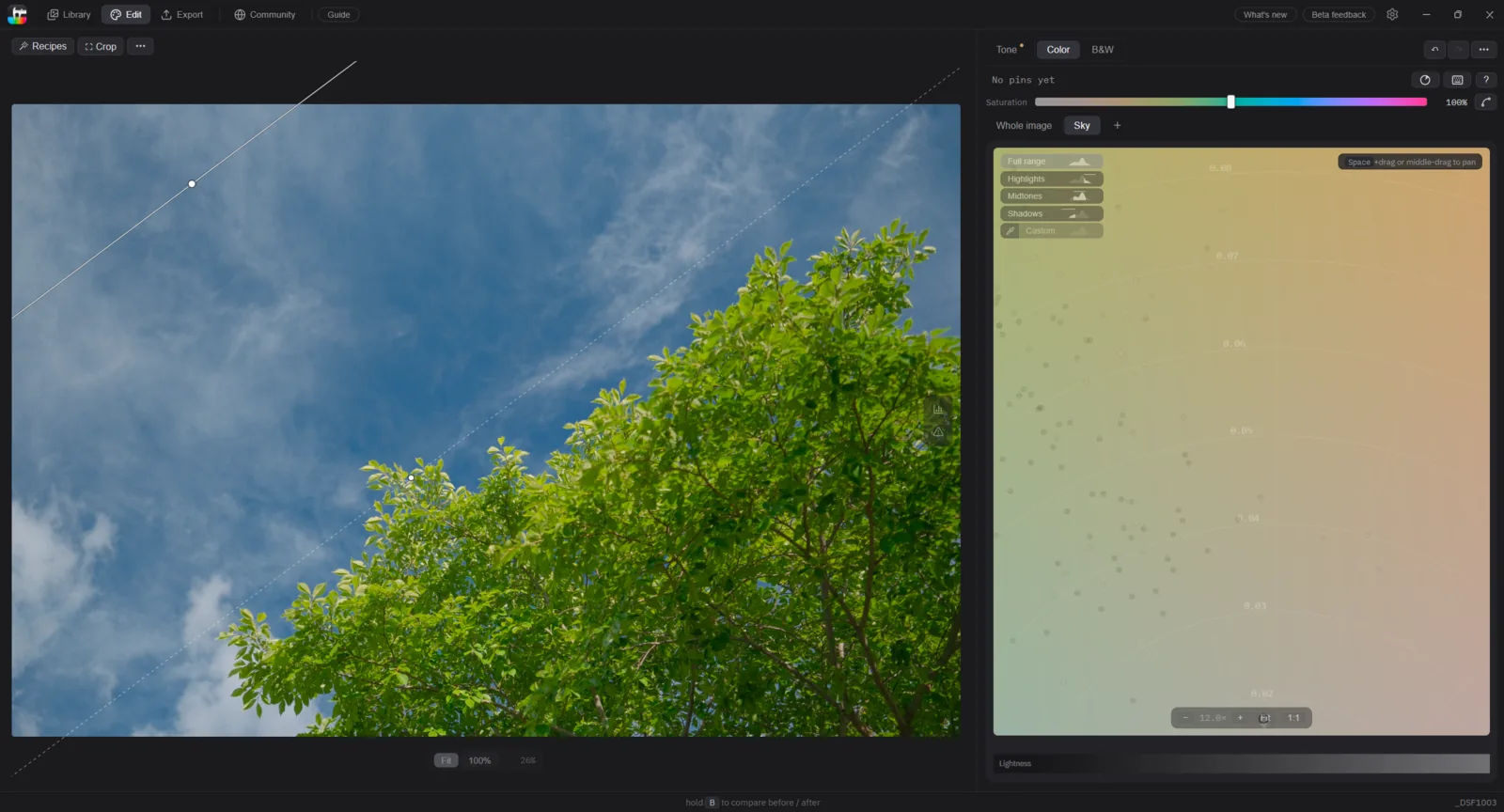A linear mask over a photo of a tree against the sky: a solid white line crosses the frame with a handle dot on it, a dashed line runs parallel below, and the scope bar on the right shows a mask chip named Sky.